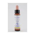 BACHBLÜTEN Rock Rose Healing Herbs Tropfen