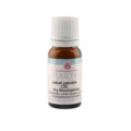 LEDUM PALUSTRE C 30 Globuli