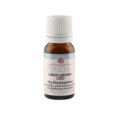 LEDUM PALUSTRE C 200 Globuli