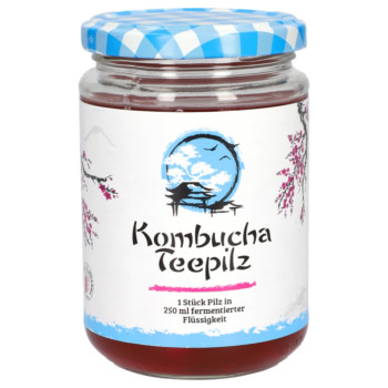 KOMBUCHA BIOS Teepilz