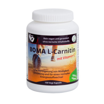 L-CARNITIN 500 Kapseln