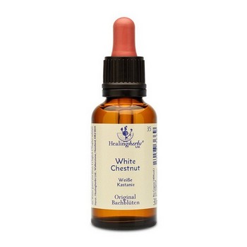 BACHBLÜTEN White Chestnut Healing Herbs Tropfen