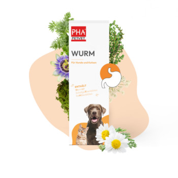 PHA Wurm Tropfen f.Hunde/Katzen