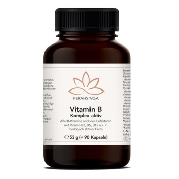 VITAMIN B KOMPLEX aktiv m.8 Vit.& 4 Cofaktoren Kps