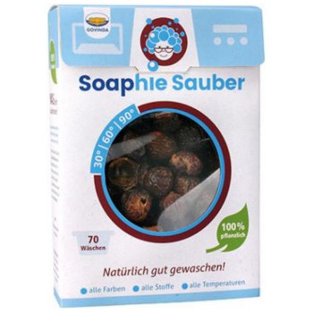 Govinda Soaphie Sauber